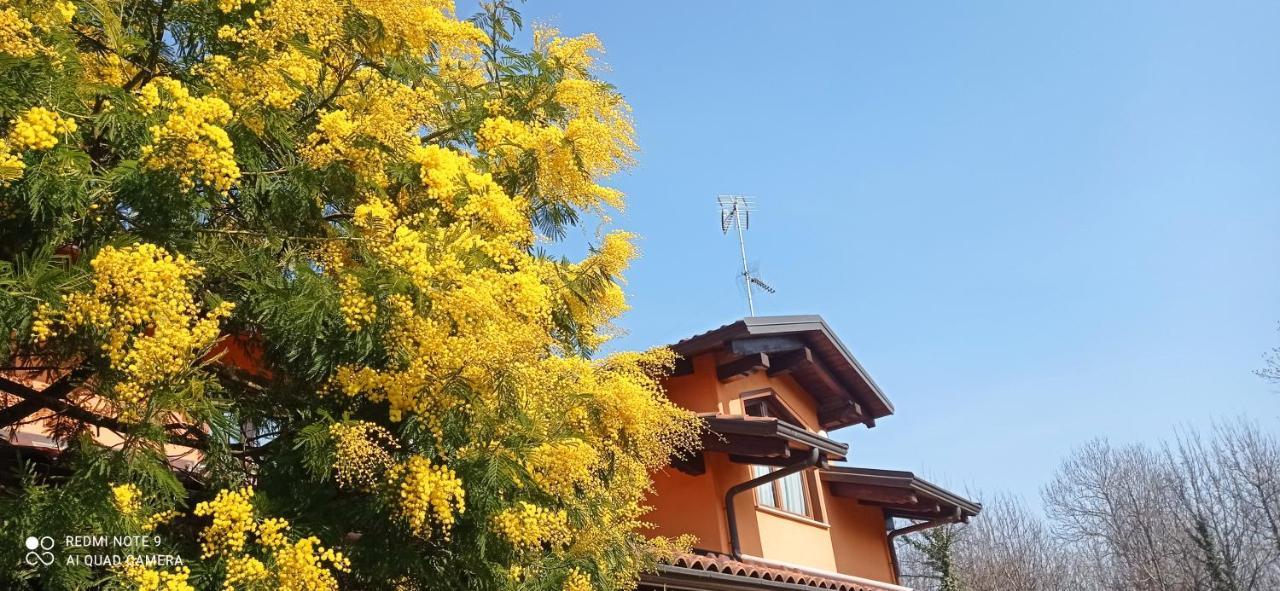Apartmán I Salici Candia Canavese Exteriér fotografie