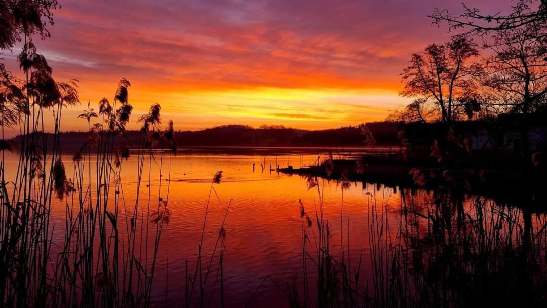 Apartmán I Salici Candia Canavese Exteriér fotografie